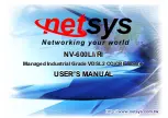 netsys NV-600LI User Manual предпросмотр