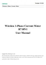 netvox R718N1 User Manual предпросмотр