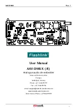 Network Electronics Flashlink AAV-DMUX User Manual preview