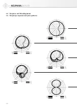 Предварительный просмотр 10 страницы Neumann.Berlin U89i Operating Manual