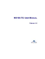 New Rock Technologies MX100-TG User Manual preview