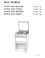 Preview for 1 page of New World 11 647 15 Installation And Servicing Instrucnions