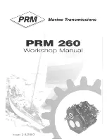 Предварительный просмотр 1 страницы Newage PRM 260 Workshop Manual