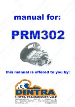 Newage PRM 302A Workshop Manual preview