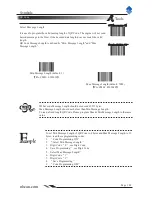 Предварительный просмотр 118 страницы Newland HR200 User Manual