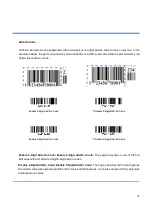 Предварительный просмотр 86 страницы Newland NLS-EM2000 User Manual