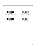 Предварительный просмотр 102 страницы Newland NLS-EM3095 User Manual