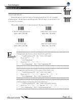 Предварительный просмотр 68 страницы Newland NLS-HR200 User Manual