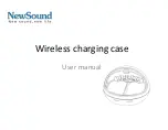 NewSound Primo WA801 User Manual предпросмотр