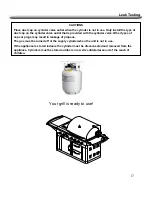 Предварительный просмотр 17 страницы Nexgrill 720-0466 Assembly & Operating Instructions