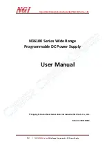 NGI N36100 Series User Manual предпросмотр