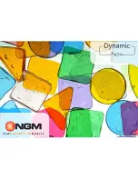 NGM dynamic now Quick Manual preview