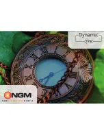 NGM dynamic time Quick Manual preview