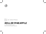 Preview for 2 page of NGS ROLLER PINEAPPLE User Manual