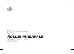 Preview for 38 page of NGS ROLLER PINEAPPLE User Manual