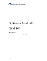 Preview for 1 page of Niagara Video GoStream Mini 100 User Manual