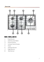 Preview for 7 page of Nicala Royal SGH-101 User Manual