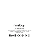 Предварительный просмотр 100 страницы Niceboy HIVE PINS 3 ANC User Manual