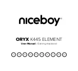 Niceboy ORYX K445 ELEMENT User Manual preview