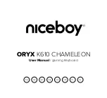 Niceboy ORYX K610 CHAMELEON User Manual предпросмотр