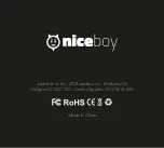 Предварительный просмотр 38 страницы Niceboy RAZE 3 RADION Manual