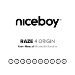 Предварительный просмотр 1 страницы Niceboy RAZE 4 ORIGIN User Manual