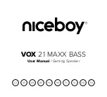 Предварительный просмотр 1 страницы Niceboy VOX 2.1 MAXX BASS User Manual