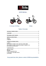 Preview for 1 page of Nikitin E-Cruiser User Manual