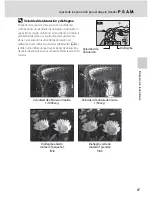 Preview for 79 page of Nikon COOLPIX P100 (Spanish) Manual Del Usuario