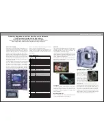 Preview for 8 page of Nikon D2H Brochure & Specs