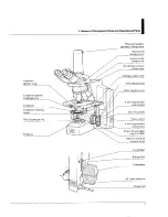 Preview for 8 page of Nikon Eclipse E600 Instructions Manual