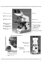 Предварительный просмотр 12 страницы Nikon YS100 Instructions Manual