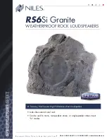 Niles RS6Si Granite Specification Sheet preview