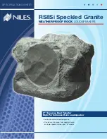 Niles RS8Si Speckled Granite Specifications preview