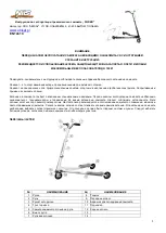 Предварительный просмотр 13 страницы Nils Extreme Fliker 14619 User Manual