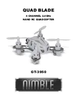 nimble GT-3950 Manual preview