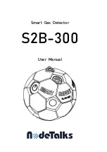NodeTalks S2B-300 User Manual preview