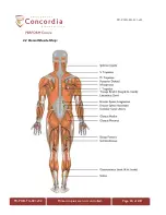 Предварительный просмотр 13 страницы Noraxon TeleMyo DTS Operating Document