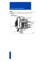 Предварительный просмотр 10 страницы Nortel Meridian M3901 User Manual