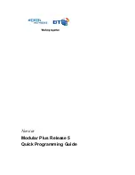 Preview for 1 page of Nortel Norstar T7316E Quick Programming Manual