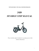 NORTH49 BRANDS SYNERGY STEP 2020 Manual preview