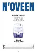 N'oveen DH300 User Manual preview