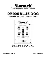 Numark BLUE DOG DM905 User Manual предпросмотр