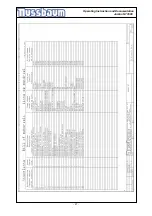 Preview for 21 page of Nussbaum JUMBO NT 3500 Operating Instruction And Documentation