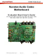 Nuvoton CODEC 8401 series User Manual preview