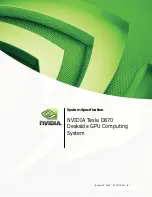 Nvidia D870 - X8 INTERFACE CARD Specification предпросмотр