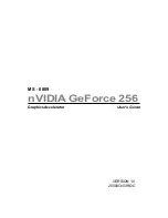 Preview for 1 page of Nvidia GeForce 256 User Manual