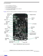 Предварительный просмотр 4 страницы NXP Semiconductors Freedom FRDM-K32L3A6 User Manual