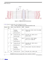 Предварительный просмотр 16 страницы NXP Semiconductors Freedom FRDM-K32L3A6 User Manual