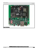 Preview for 17 page of NXP Semiconductors i.MX 8M Mini LPDDR4 EVK User Manual